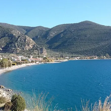 Margherita's Holidays