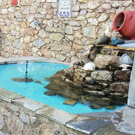 Margherita's Holidays *